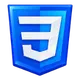 CSS logo